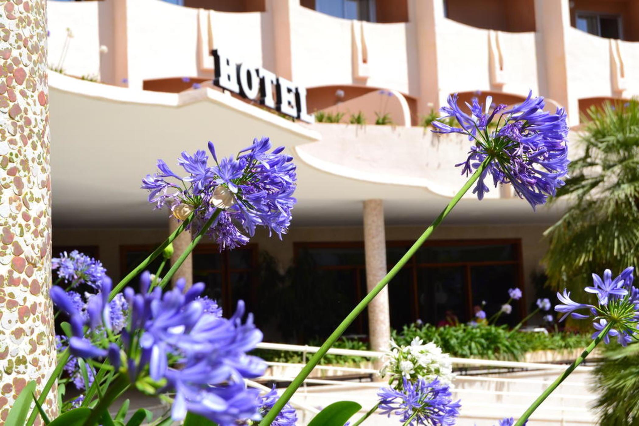 Hotel Los Robles Gandía Exterior photo